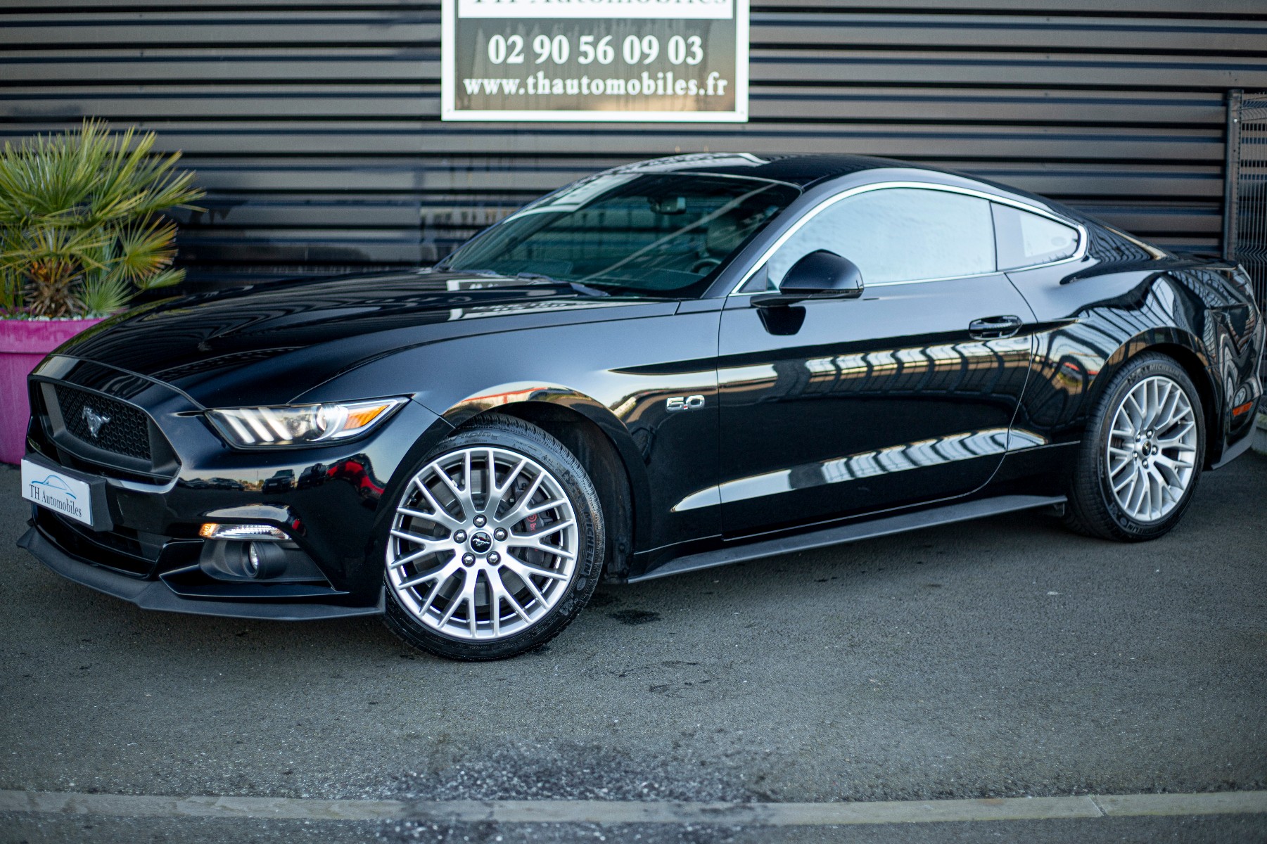 FORD MUSTANG VI FASTBACK 5.0 V8 GT BV6