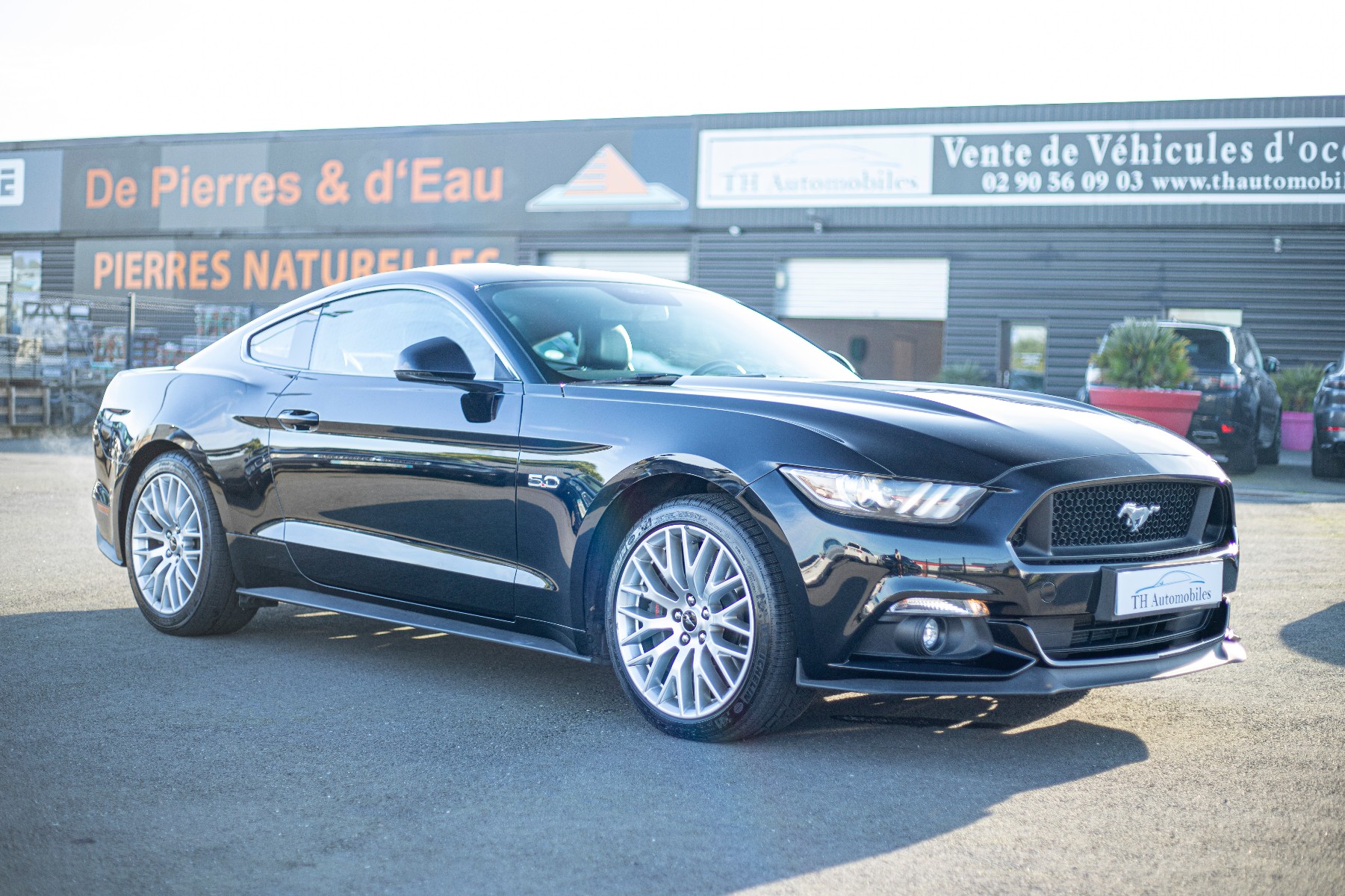 FORD MUSTANG VI FASTBACK 5.0 V8 GT BV6