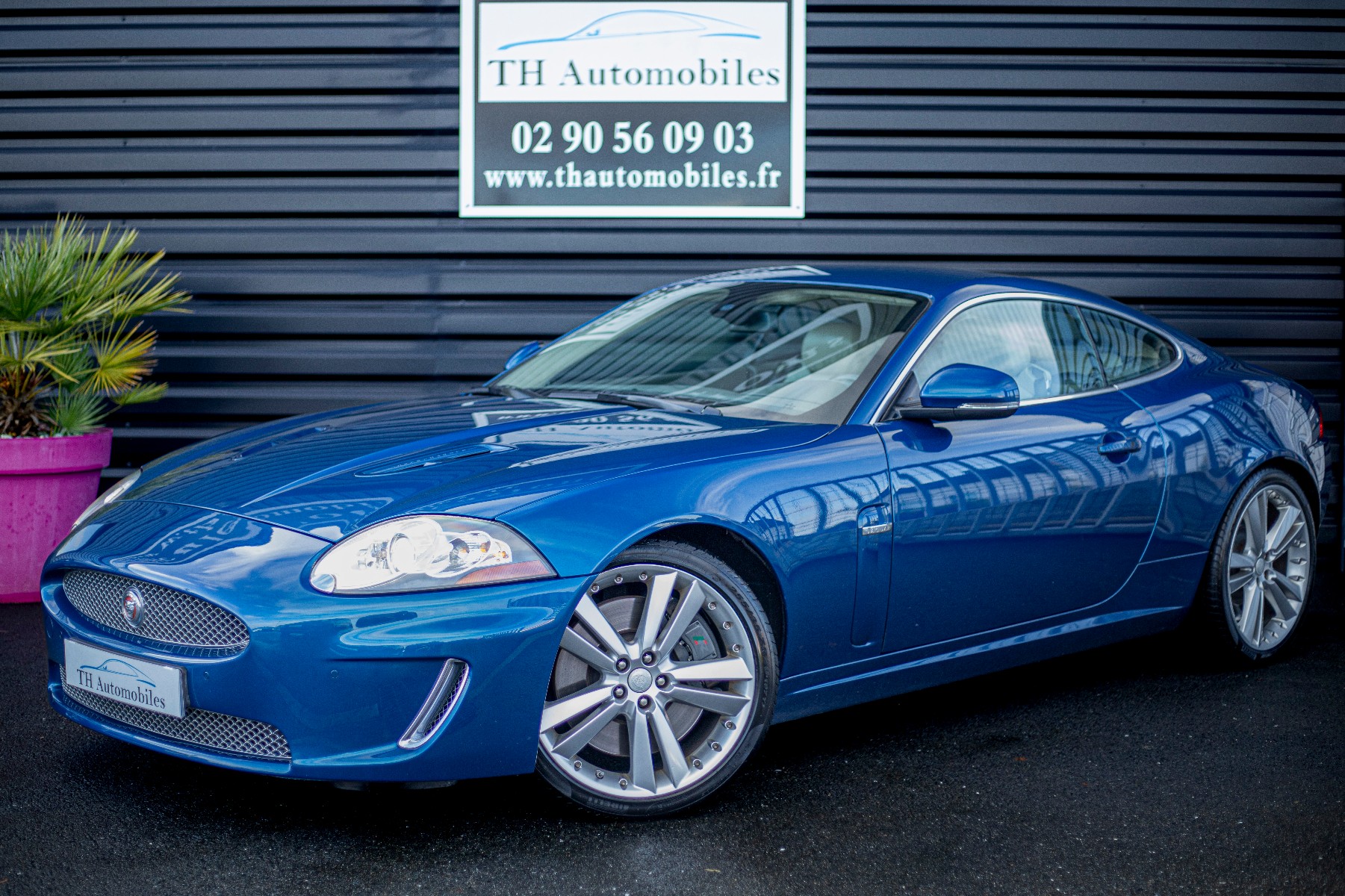 JAGUAR XK (2) COUPE R 5.0 V8 510 SURALIMENTE BVA6